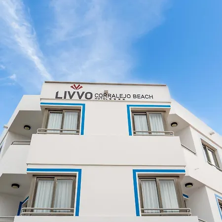 Livvo 코라레호